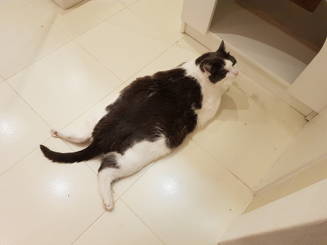 20191129-102614.jpg