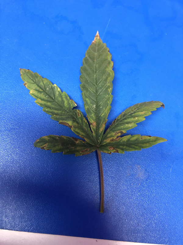 D983FDD2-FE91-45B3-87A4-99FD4C9762CB