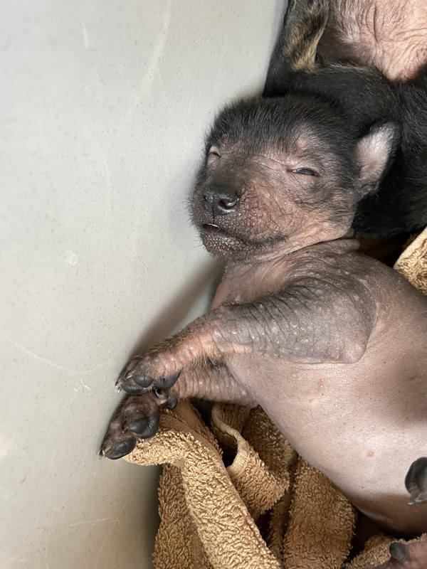 A7BED257-C73D-45C9-B16D-FA95A06CCAEC