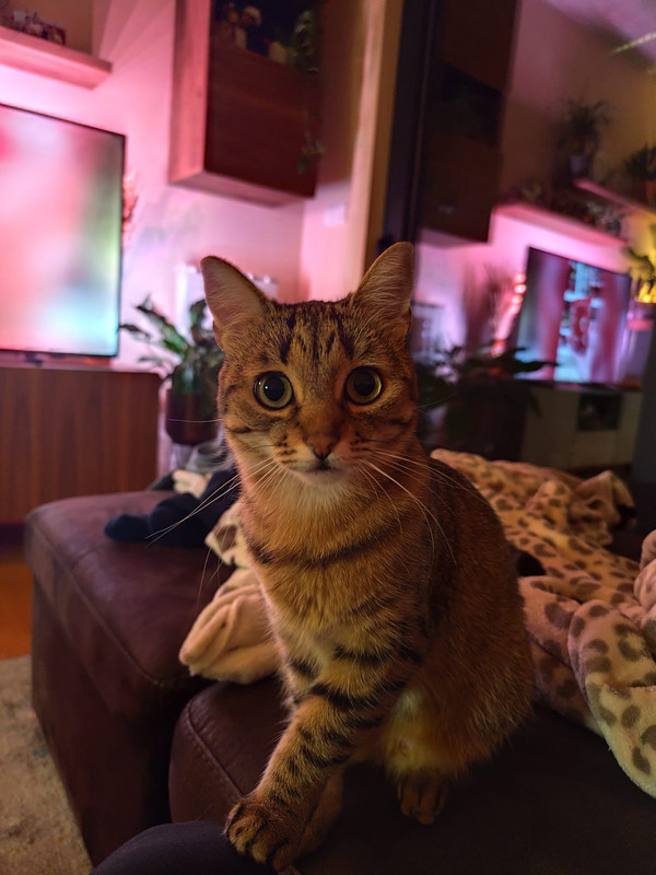 Whats App Image 2025 12 26 at 11 32 17