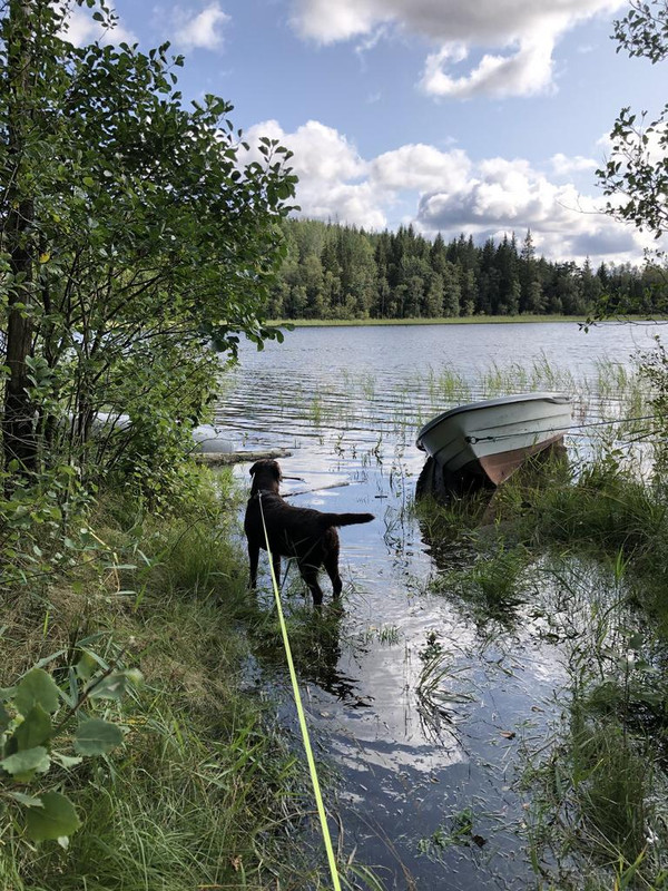 FF502B29-A2C5-4CCF-83BC-9CA799810E6D