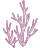 https://i.postimg.cc/wTpHdpVG/coraldecor.png