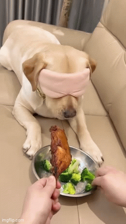 IMG-1940.gif