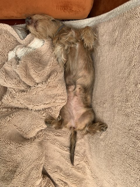 [Image: 4-EFC2741-91-EA-4-A00-9-F95-8-D3-D14-F3-C207.jpg]