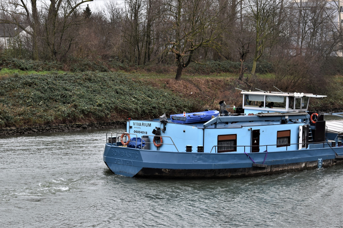 2022.01.09 RHK VIVARIUM 04 (1940x1293)