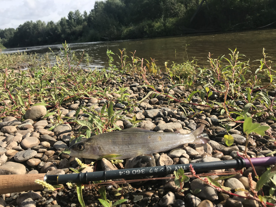 93F036B9-20C2-4D17-AB48-C603E30EBAB1