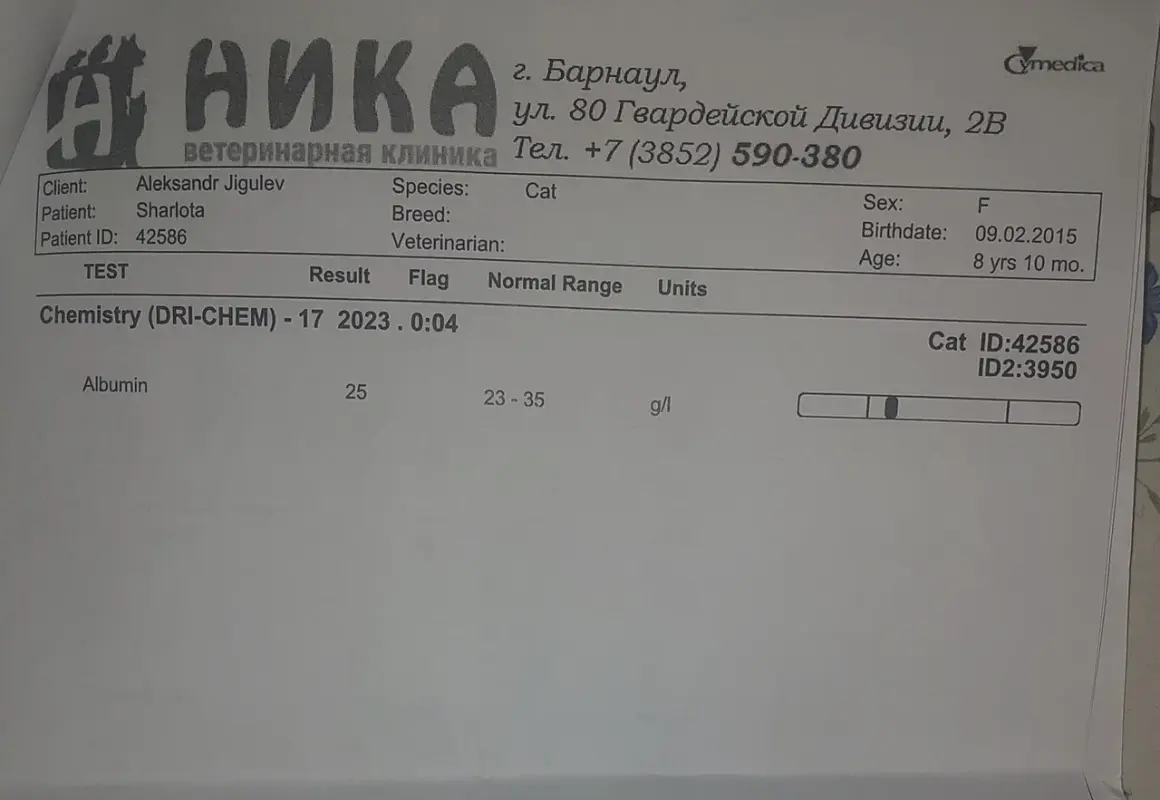 2023-12-18 22-09-57_1702912655