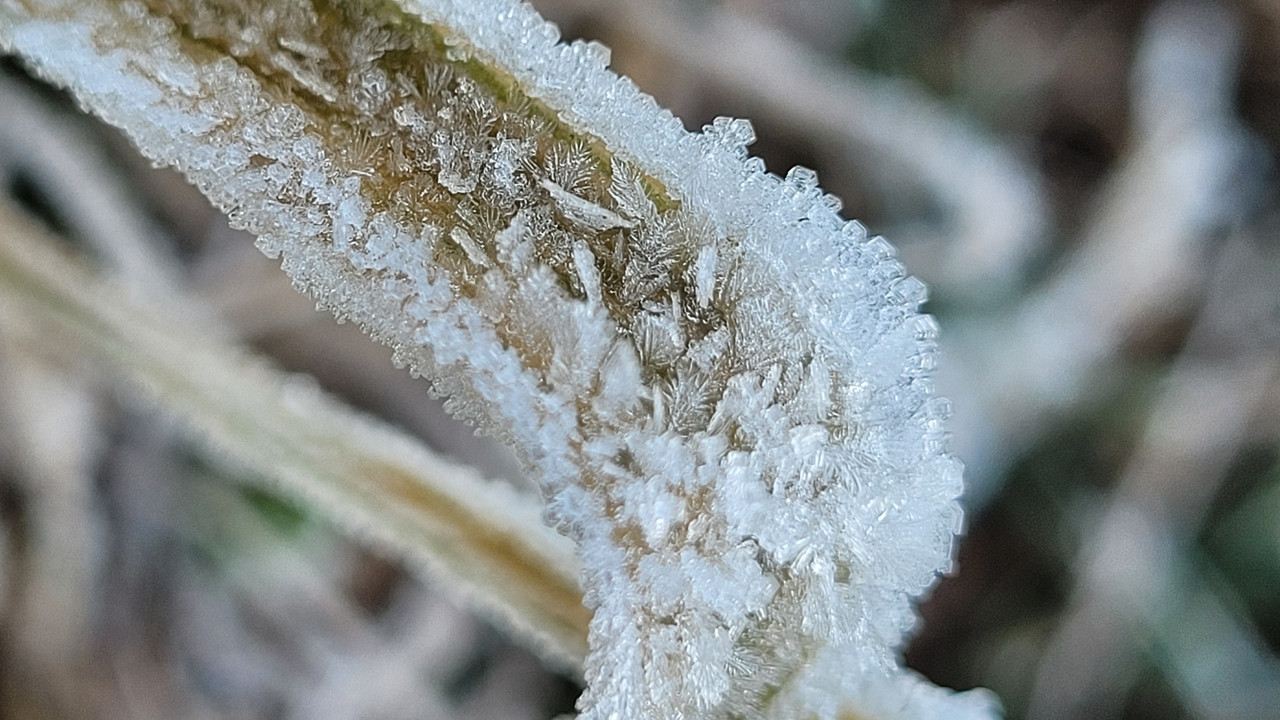 20240813-073501.jpg