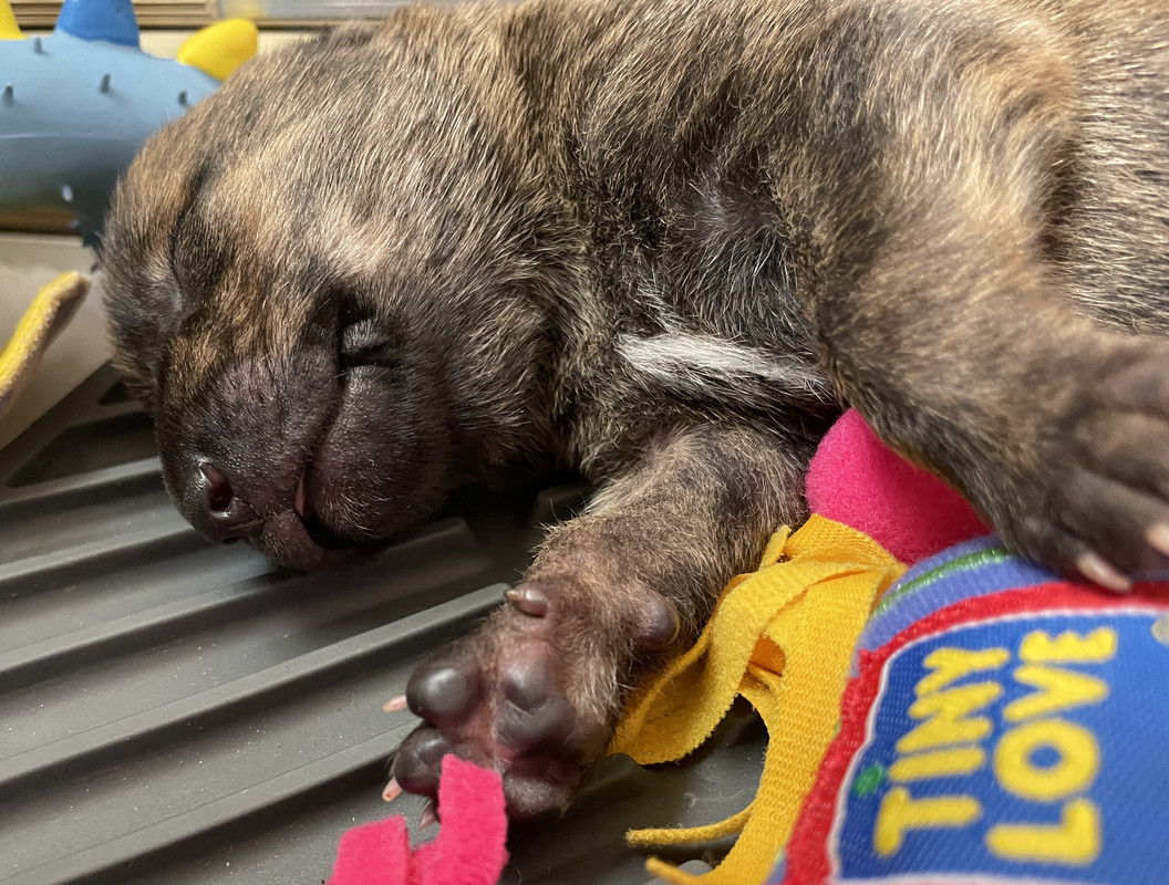 FF201D88-F02D-4D31-8E4D-38C31BD006CD_1_201_a