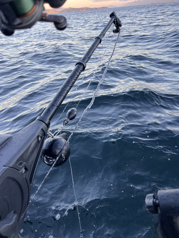 A7E33DAD-A706-450F-BBA4-CB267ABAC006