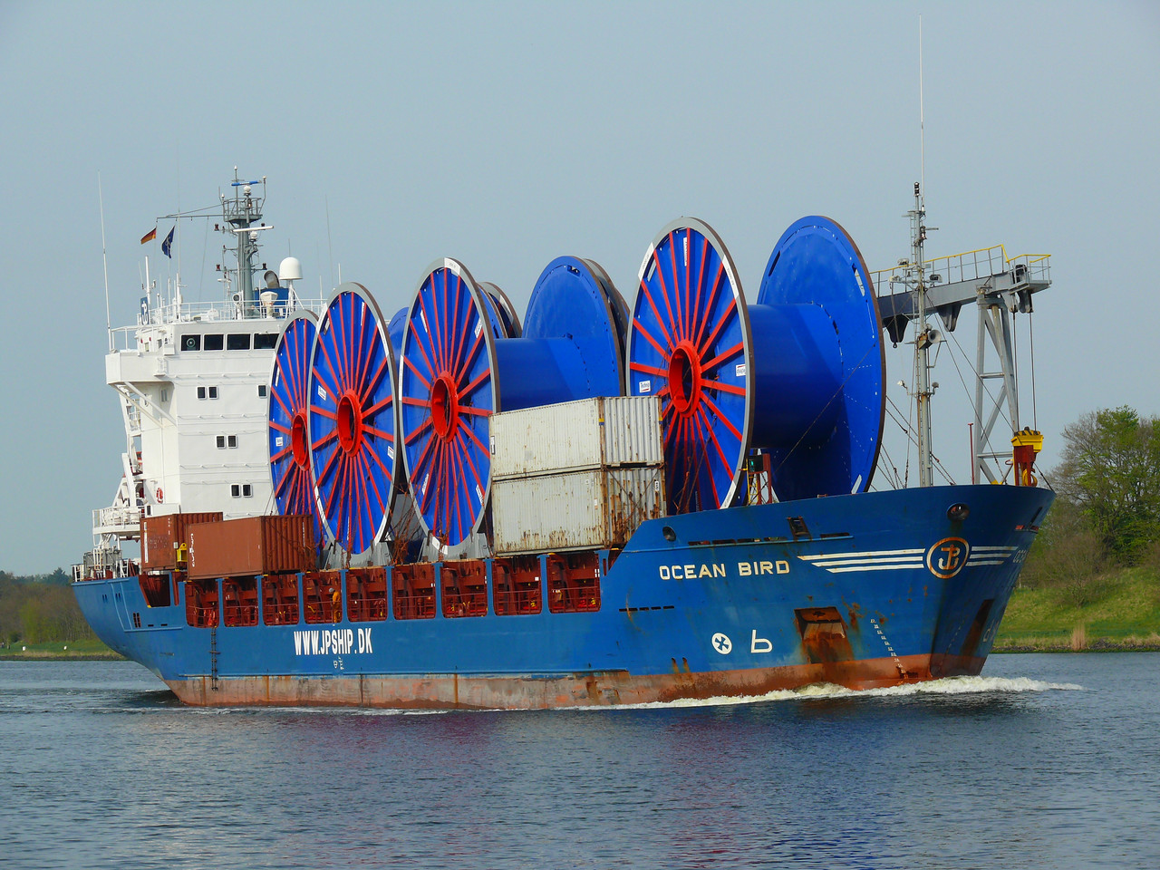 Ocean Bird (OK 060513 1)