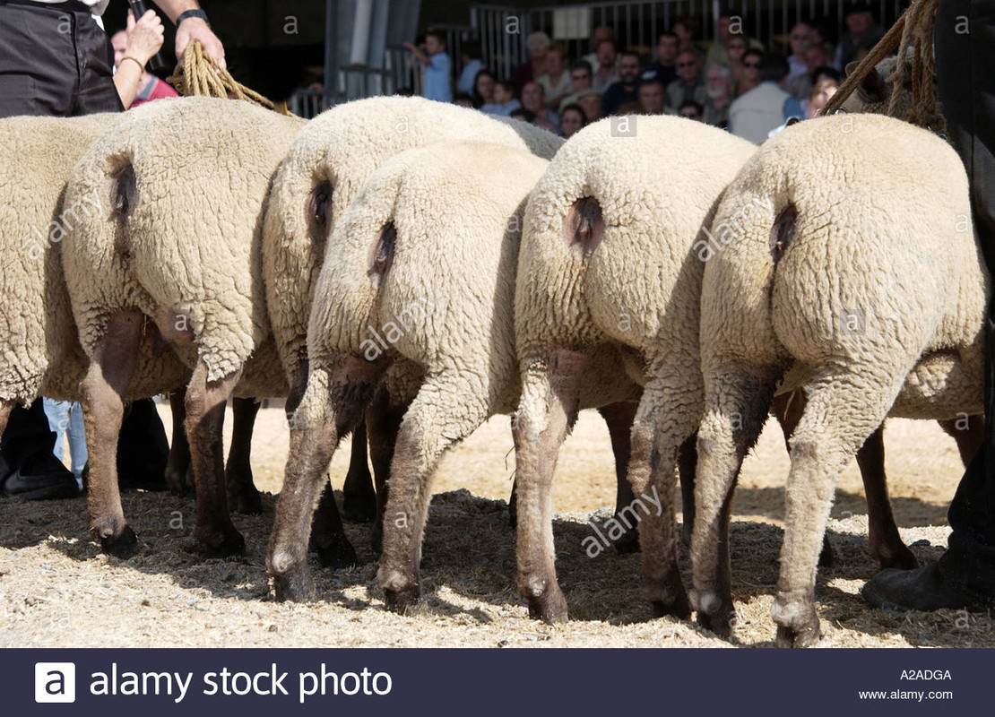 C91A3023-83E9-4B83-B48D-8CF2C3773363