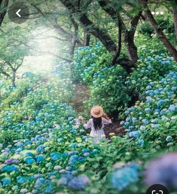 Screenshot_20230816_235728_Pinterest