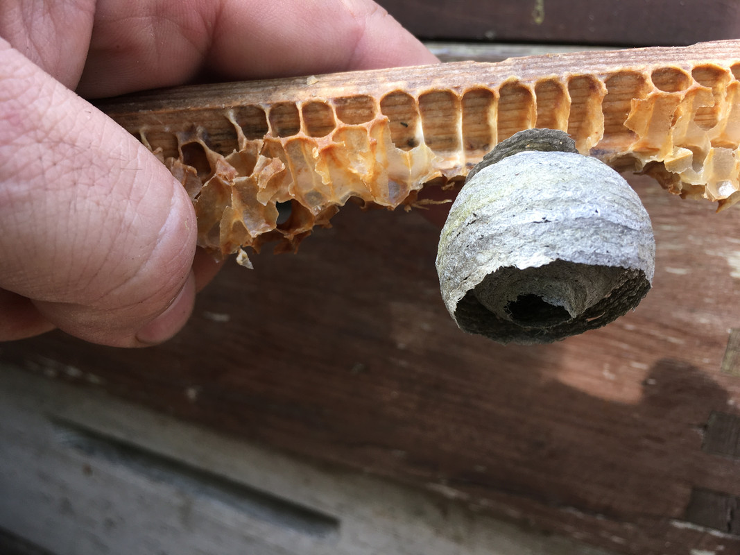 842CC26B-F502-47A0-8BF1-01805FF8DB65