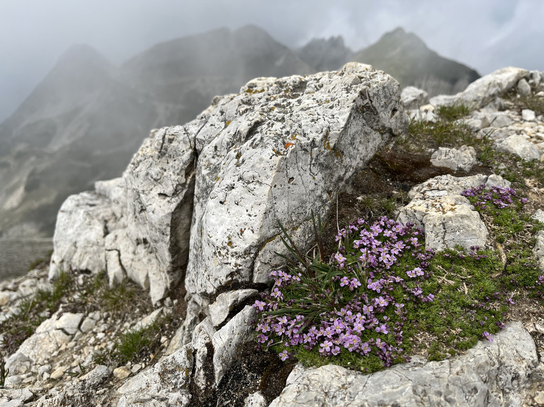 9A2D2F23-43F3-40DC-AB18-35A54A9F0A09