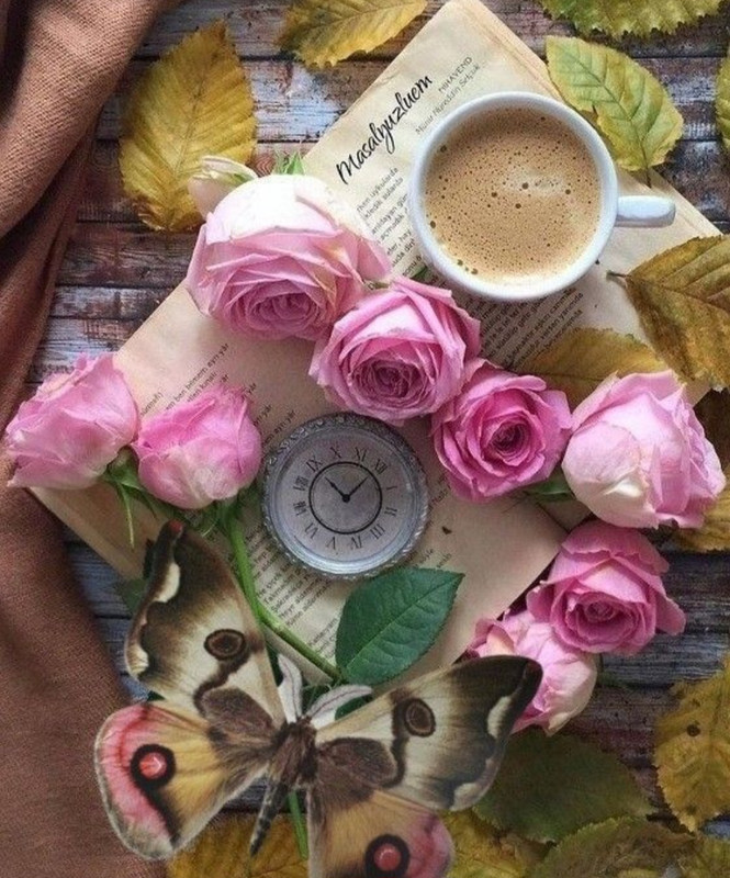 Screenshot_20230129_233535_Chrome