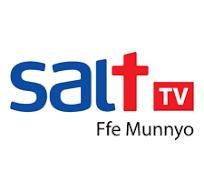 SALT TV