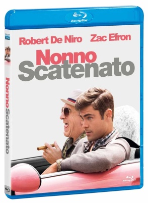 Nonno Scatenato (2016).mkv FullHD 1080p x264 AC3 iTA ENG Subs