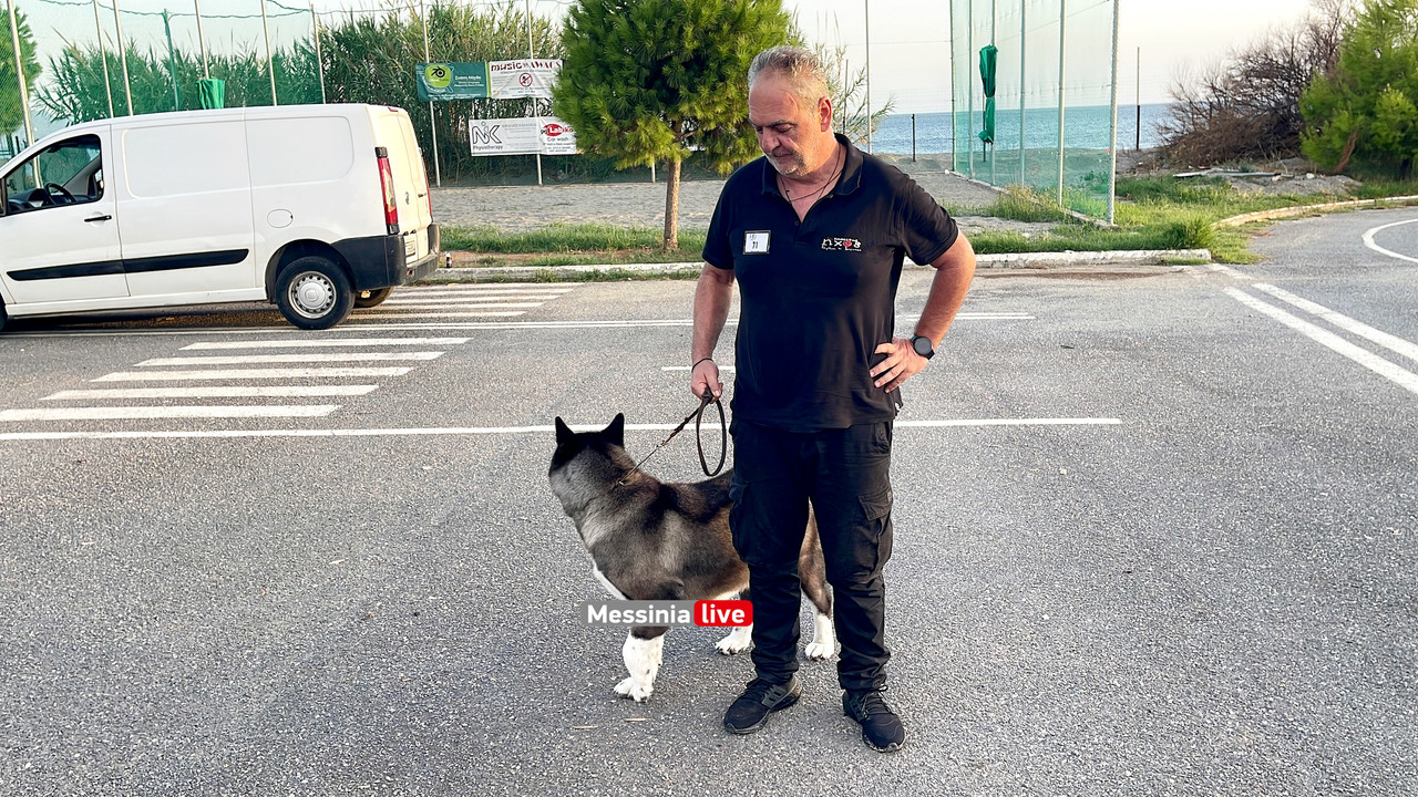 παρκο σκυλιαimage00003