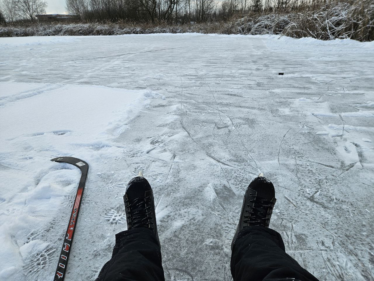 [Image: IMG-3335.jpg]