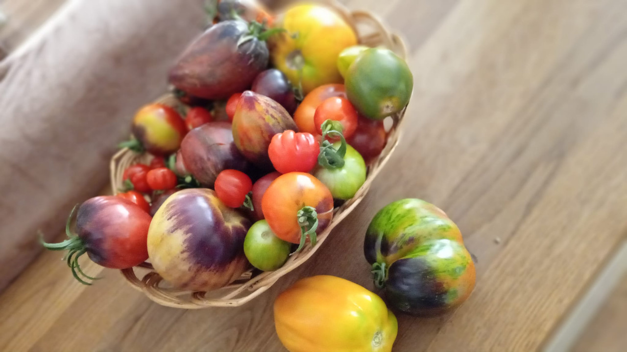 457323348_10229374480323878_1015663506757254248_n