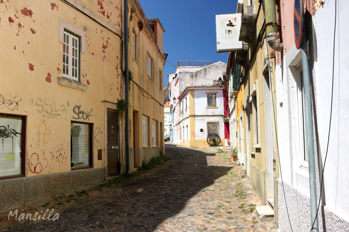 Sines-3004