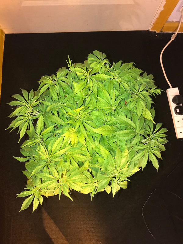 F99B3C26-EEF6-43A7-924B-3BEC0959E5EE