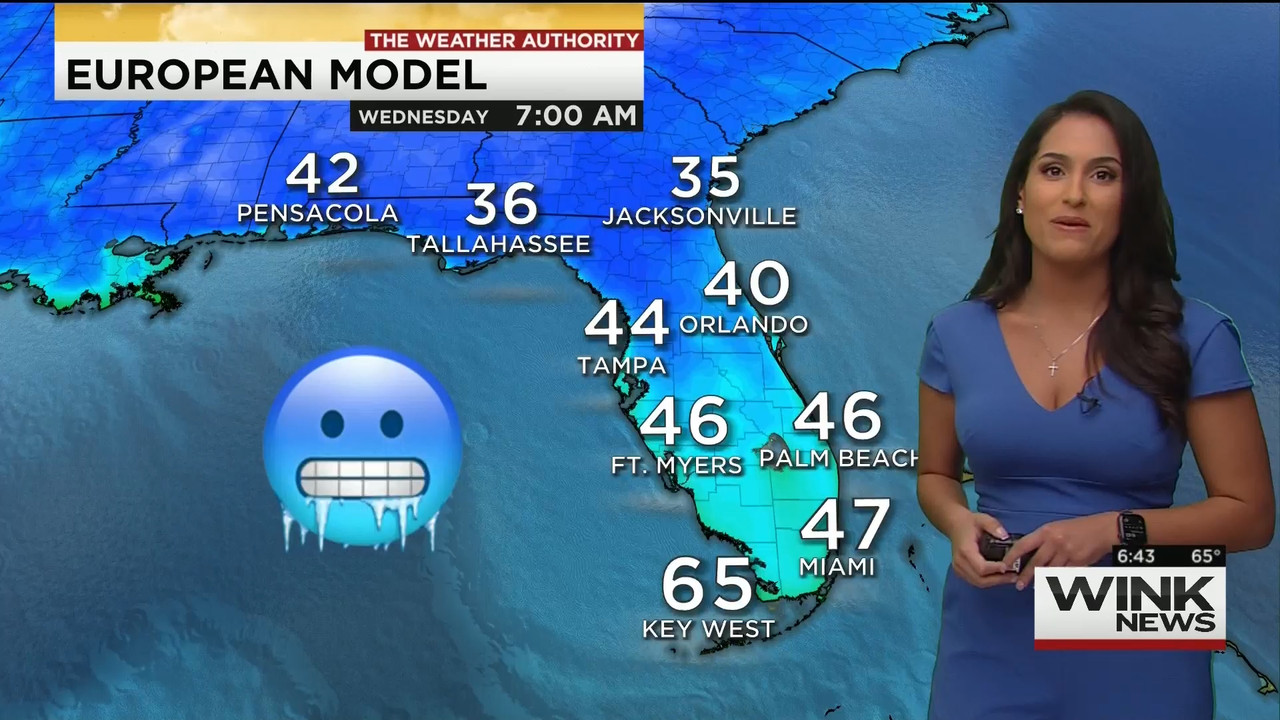 11.28 - 11.00.00 - WINK News This Morning..ts_snapshot_44.08.437