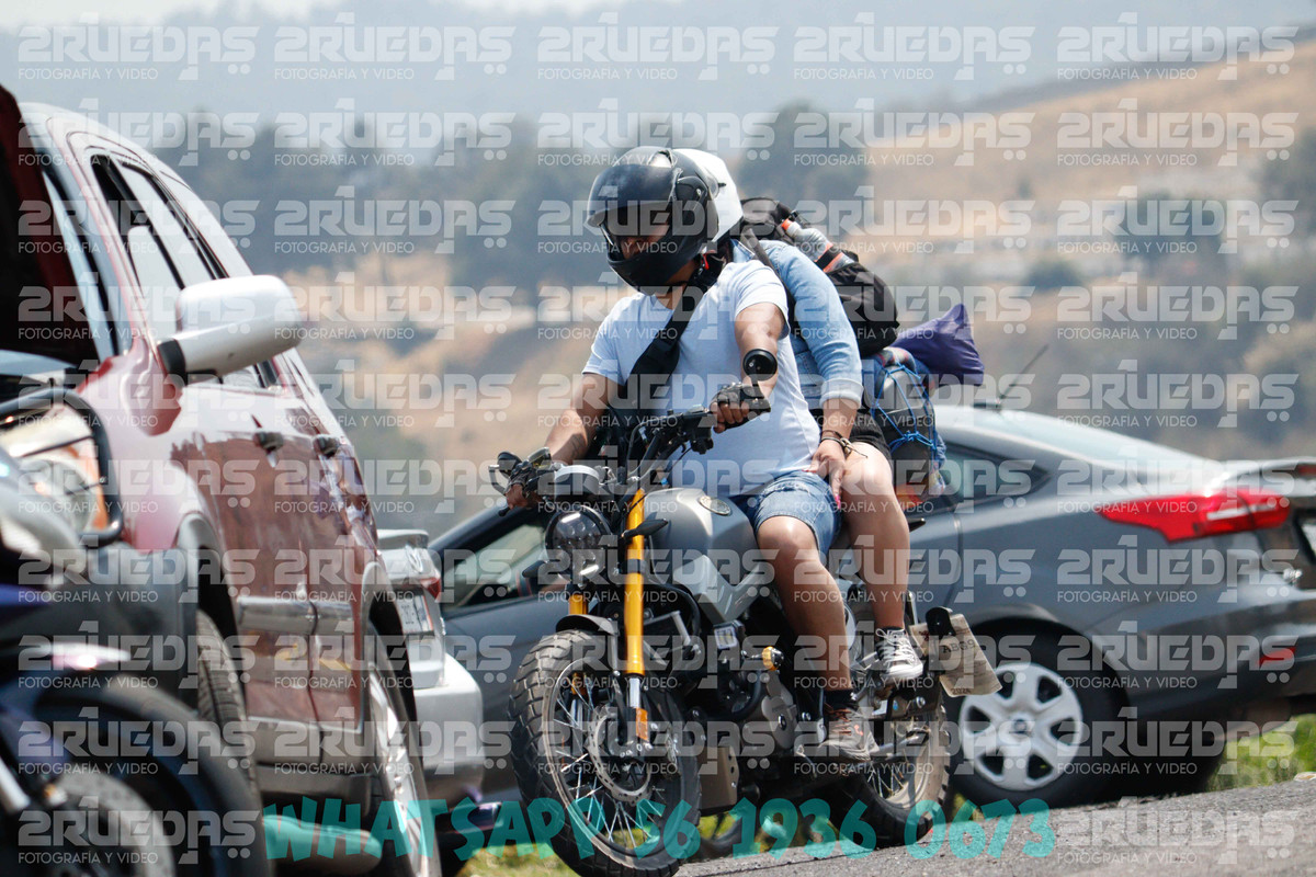MG 1431 — Postimages