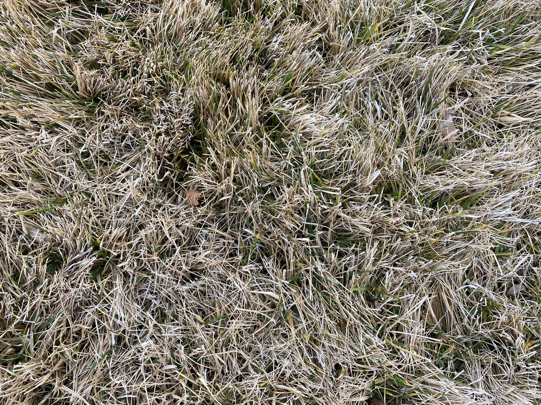 D58A6F30-A887-46F1-AB8A-F79B281CE6E4