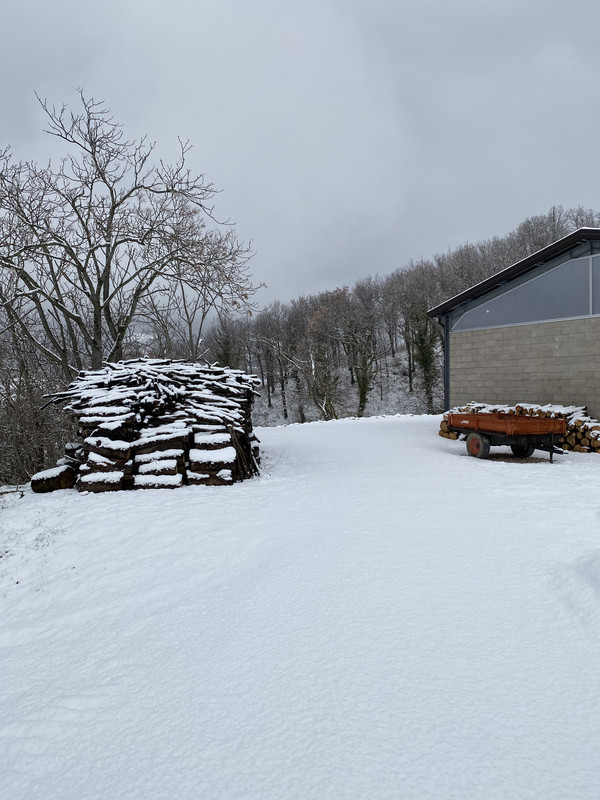 9DA3BD3B-ECC2-4C8C-AB69-1FE193BA7AF3