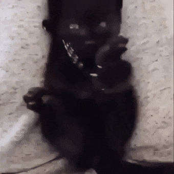 daily-gifdump-3433-16-(1).gif