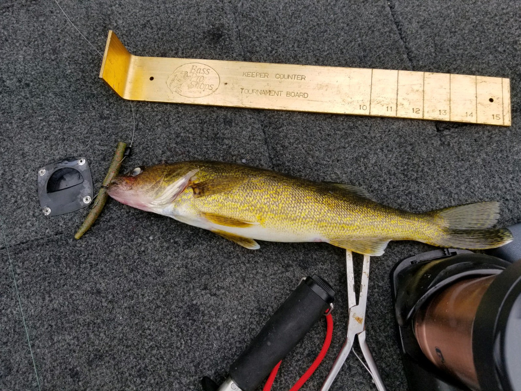 091E2DBF-3A3A-4D00-A03C-41ED0ED8728E