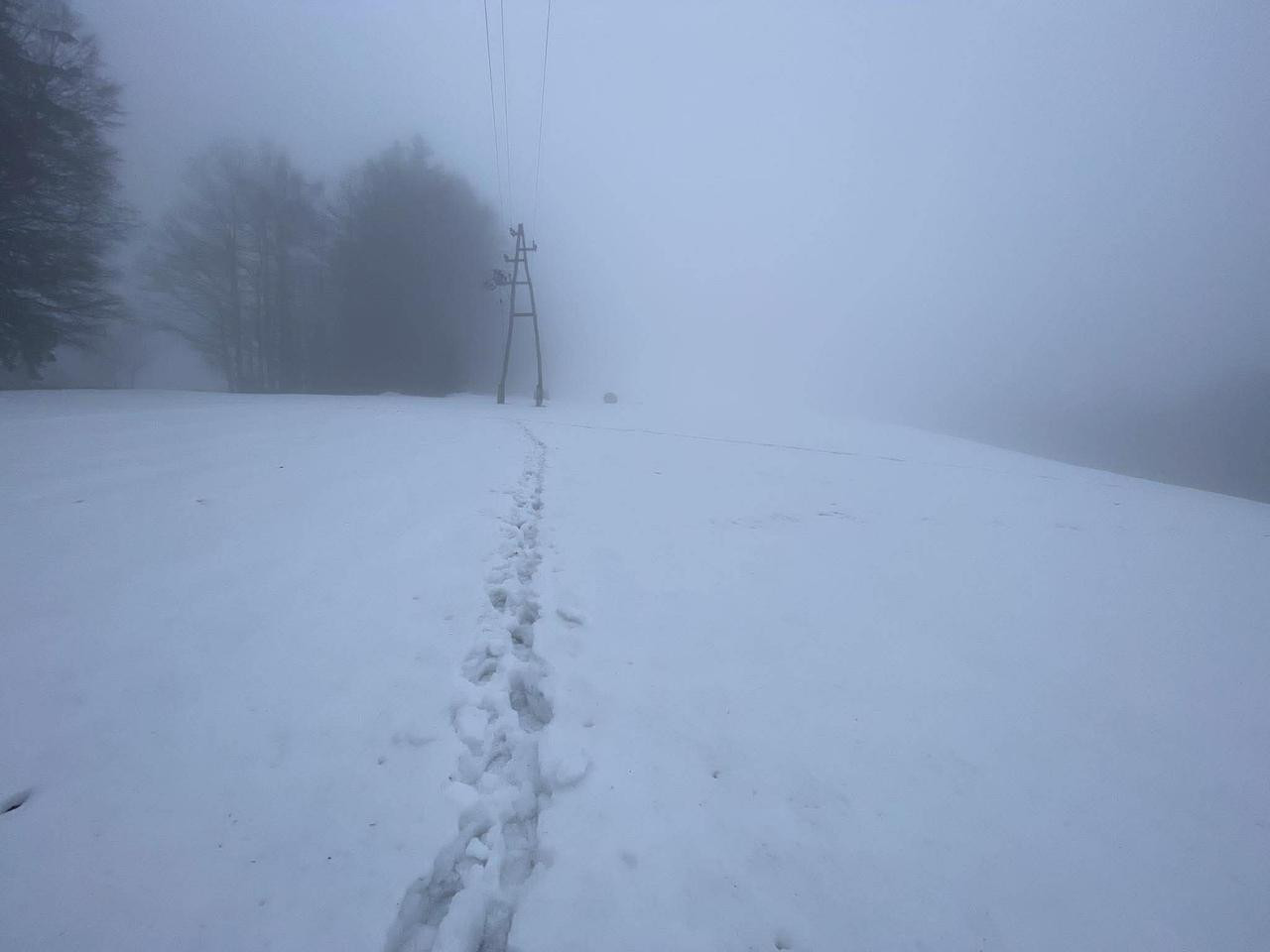 625211035 1308743157956258 6676821715817509480 n (1)