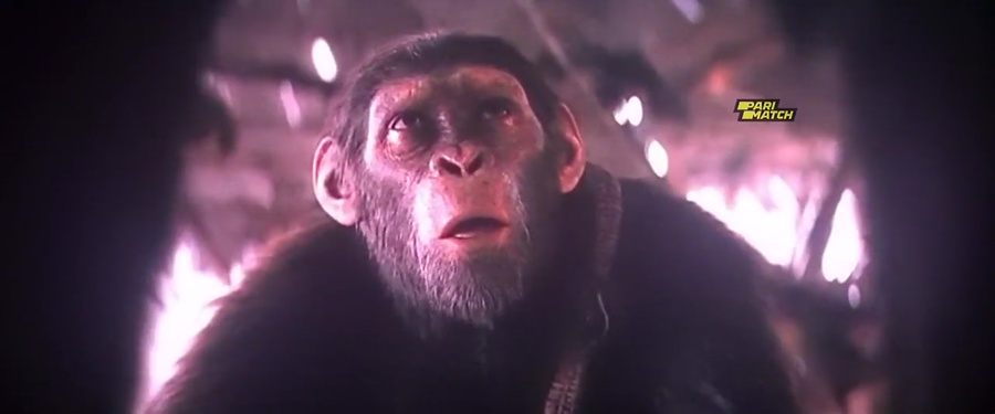 Download Kingdom of the Planet of the Apes (2024) HDCam [Hindi + Tamil + Telugu + English] ESub 480p 720p 1080p