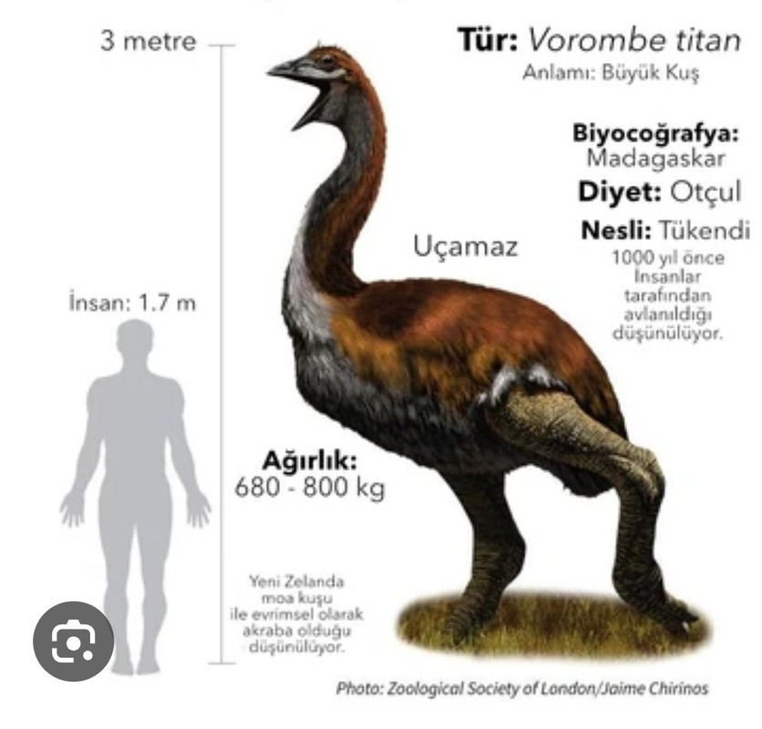 Screenshot_20230816_154728