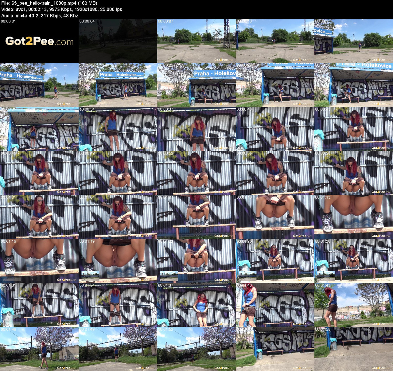 65 pee hello train 1080p