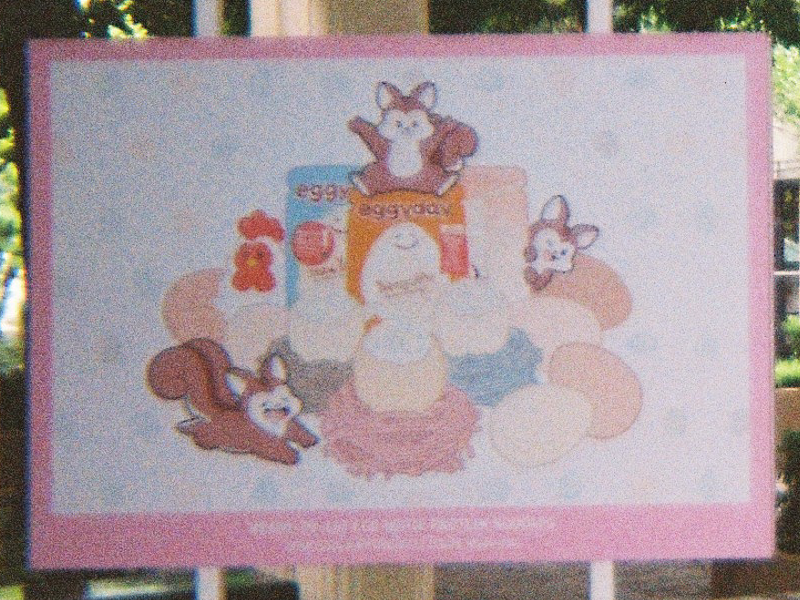 Kodak-UM2025-03-crop