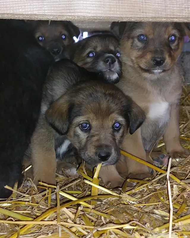 IMG_20221127_160720_852