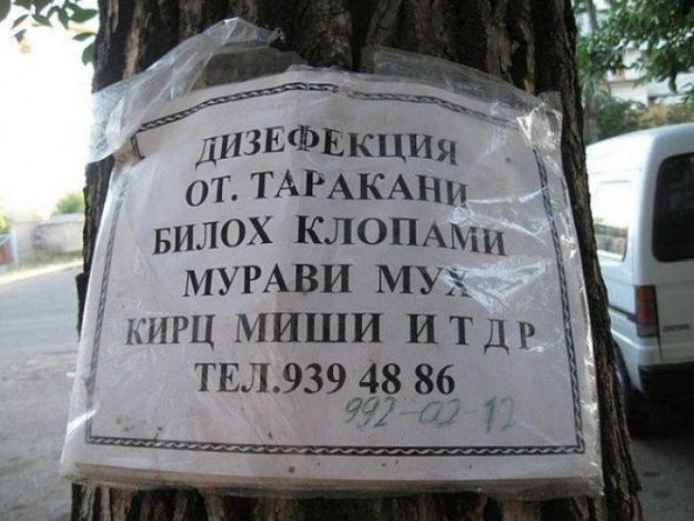 dizefek