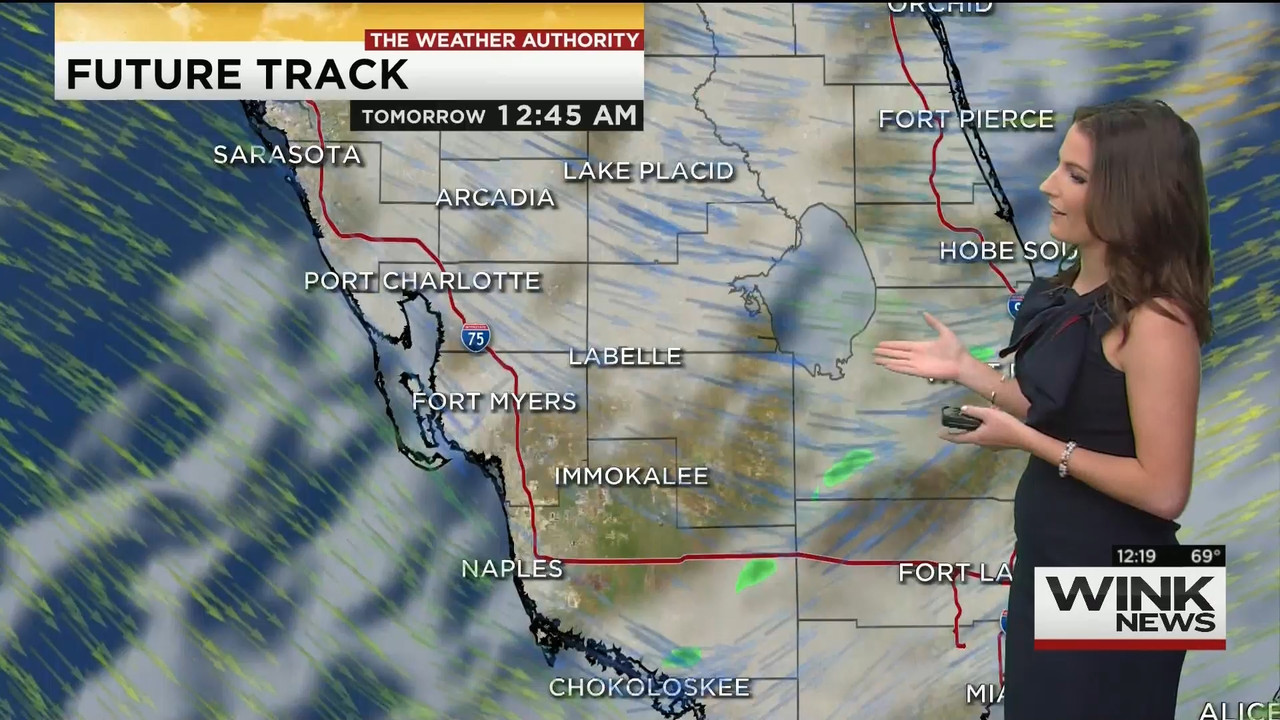 01.15 - 17.00.00 - WINK Noon News..ts_snapshot_22.48.640