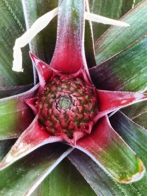 IMG_20180225_121308_HDR