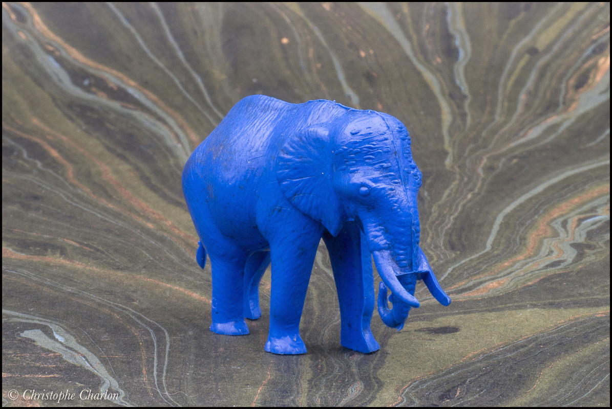 Back in CCCP: A blue savannah and other rubber animals CCCP-Elephant-4