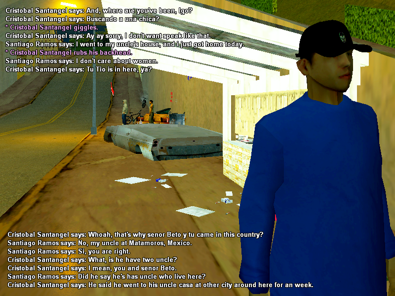 SS3.png