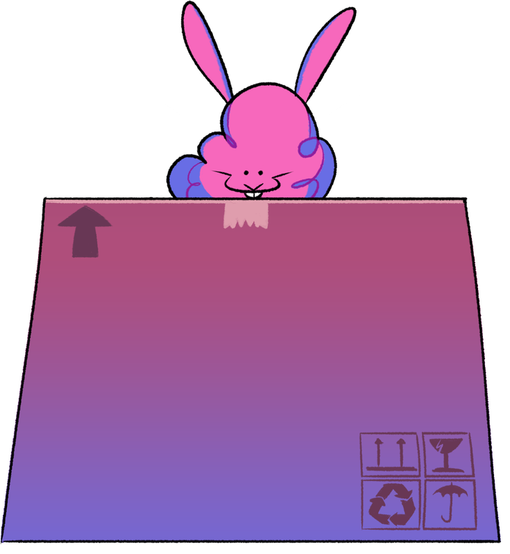 Big Dust Bunny EX box