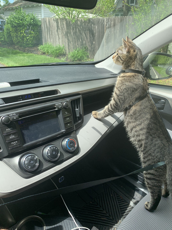 4FAAEED9-93C2-4338-96AE-CBCEB0DDF2A3