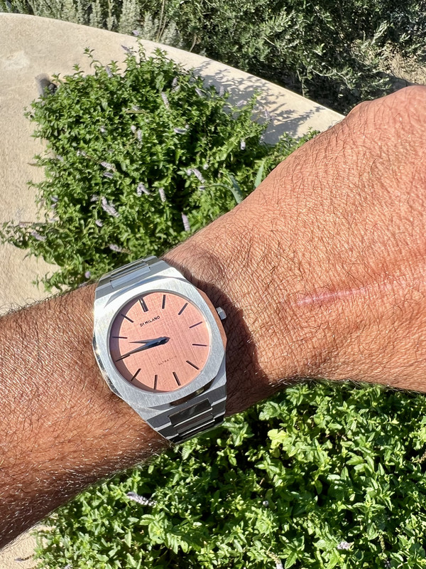 2582F5A3-5692-425C-8D1F-5C7E61796717