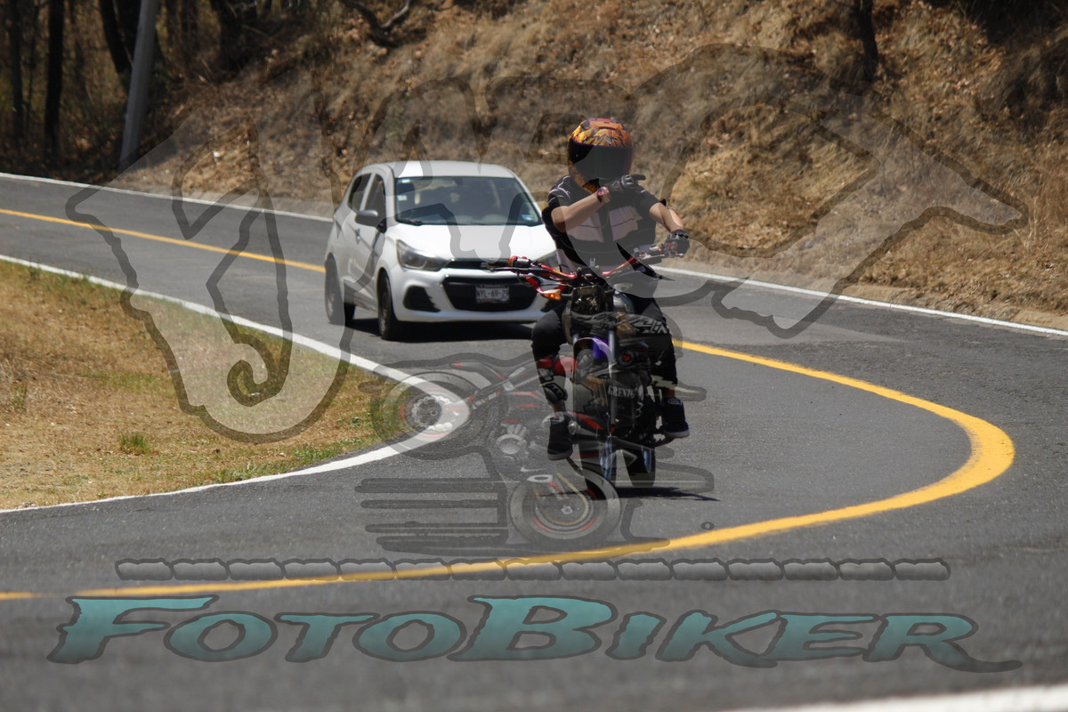 MG 0247 — Postimages
