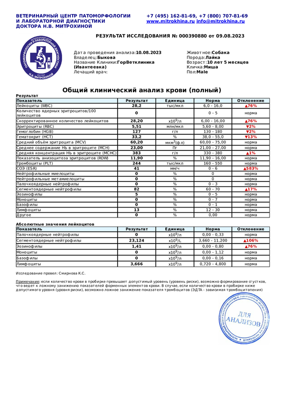 Общий клинический анализ крови полный (Диагностическое исследование 000390880 от 09.08.2023 23 42 57