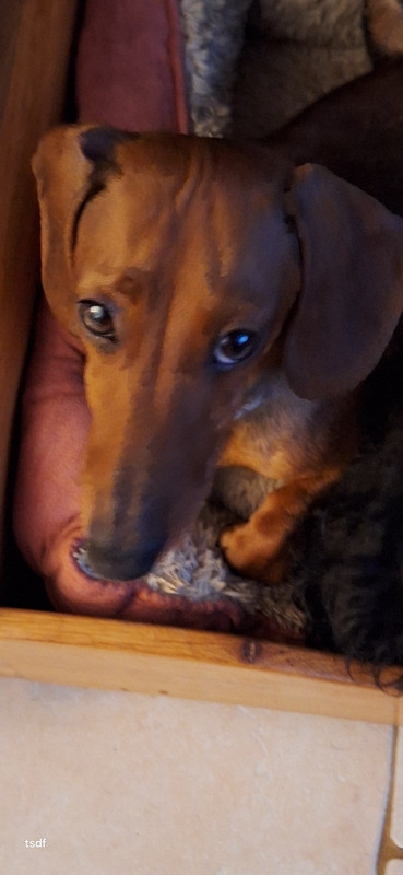 [Image: 20250628-173805.jpg]